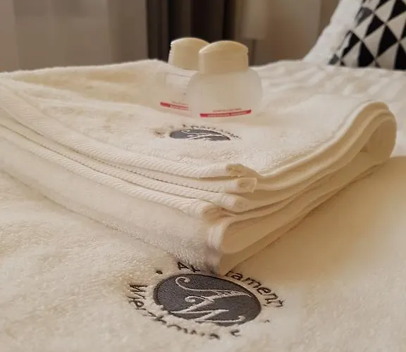 Modern Wierzbowa 5 דירה פוזנן