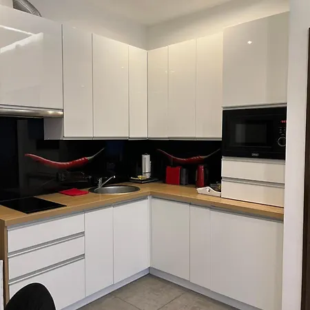 Appartement Modern Wierzbowa 5 Poznań