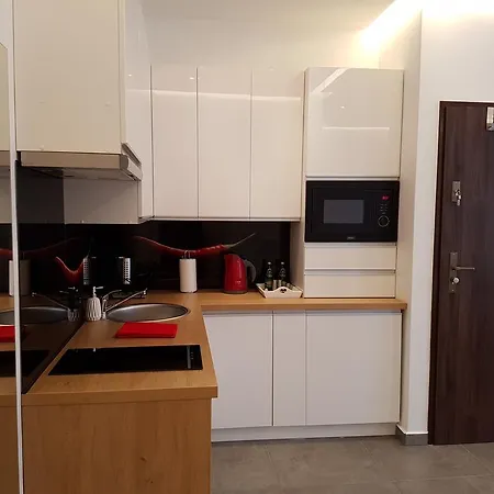 Modern Wierzbowa 5 * Poznań